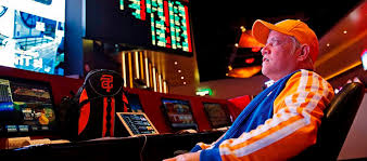 Онлайн казино Vulpin Casino